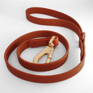 Doggy Social Best Pup Leash